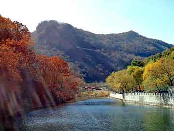 新澳天天开奖资料大全旅游团，鳄鱼龟苗